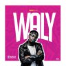 Waxy Kay ft. Shango - WalyCris tribute [Prod. Fkay Beats]